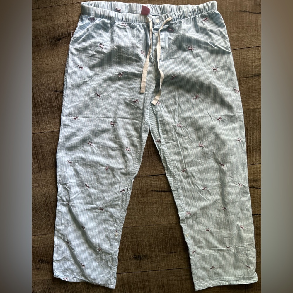 Women Light Blue Striped Pants